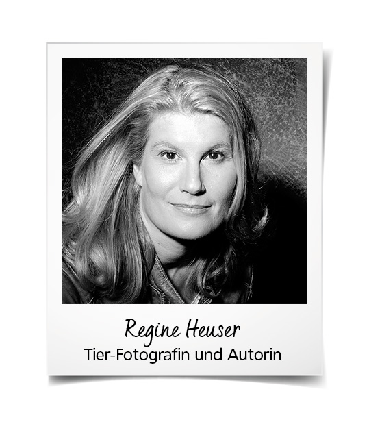 Foto: Katlen Bendel