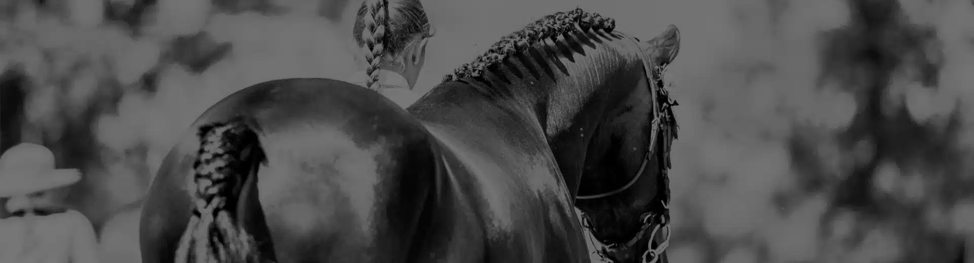 Arbeitskreis Pferd Fachgruppe Reitsporthandel