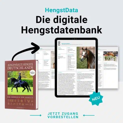 Hengstbuch Datenbank (DIGITAL)