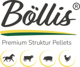 Böllis Logo