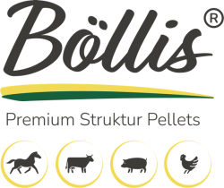 Böllis Logo