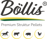 Böllis Logo