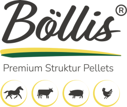 Böllis Logo