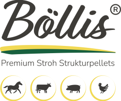 logo_boellis_mit_icons_grau