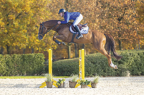 ASTRONOMIC VH LEGITA HOF Z