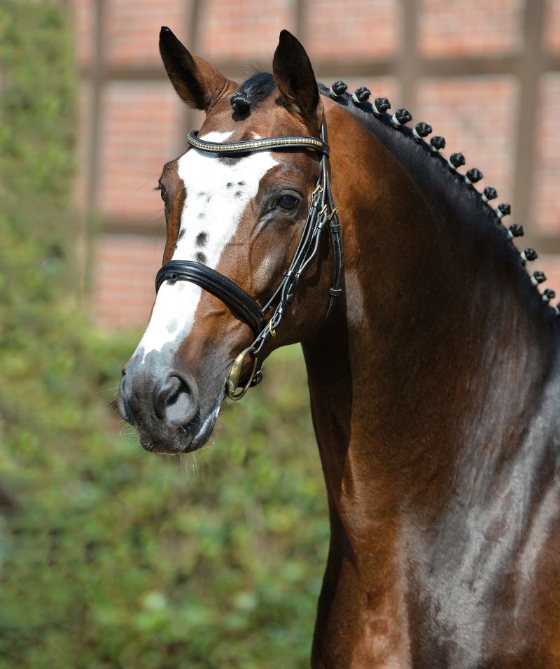 BALOU DU ROUET