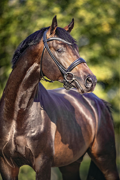 COEUR DE BELLA DONNA