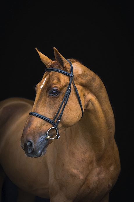 EPLEASER VAN'T HEIKE Z