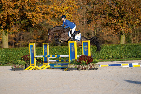 GRAN DIABLO VIKTORY Z