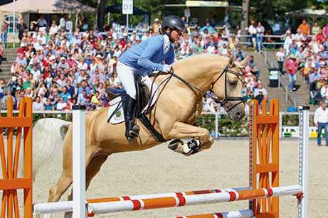 HESSELTEICHS GRIMALDI