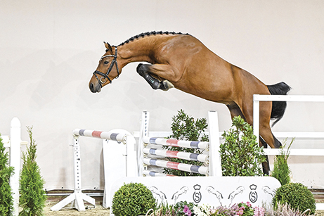 OLESKO OLDOLESKO OLD