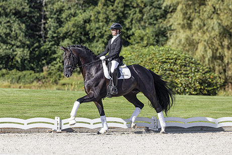 SÉNÉGAL DE FONTAINE
