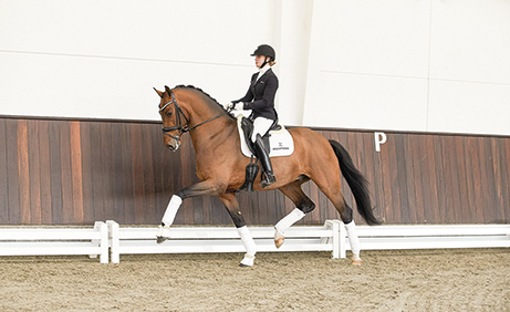 STRAIGHT HORSE FINEST HOUR